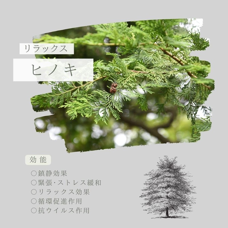 【Premium Aroma Essential Oil as a Gift】 Hinoki 【100% Natural