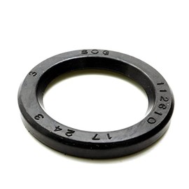 Parts and Parts Replacement part compatible with Triton A96100-172403-1 shaft seal 17 x 24 x 3 mm