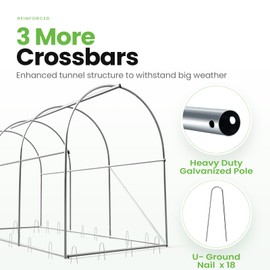 KING BIRD Upgraded 10x6.6x6.6FT Large Walk-in Greenhouse Heavy Duty Galvanized Steel Frame 2 Zippered Screen Doors 6 Screen Windows Tunnel Garden Plant Hot Green House 18 Stakes 4 Ropes 2 Gloves White