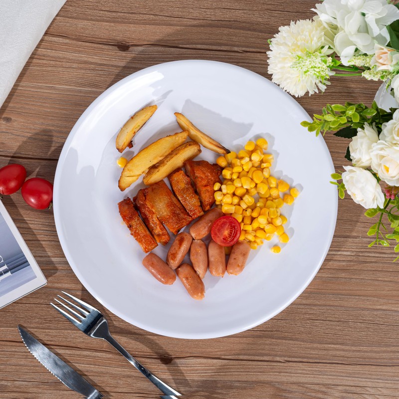 ZAINCA Melamine Dinner Plates, Round Plates,Shatter Resistant, 11 inch, set