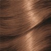 Garnier Nutrisse Permanent Hair Colour 6.3 Praline Dark Golden Blonde