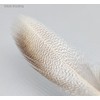 KTGCOZS Pack of 50 Flank Feathers Fly Tying Natural Barred
