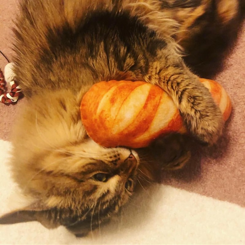 Neko Tomosha Plush Cat Toy, Agatari Bread, Set of 2,