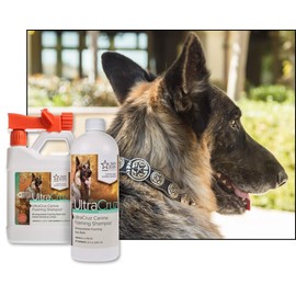 UltraCruz Canine Foaming Dog Shampoo with Travel Applicator and Refill Bundle, 32 oz Each