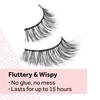 Eylure Pre-Glued Wispy Light Texture Eyelashes, No.117, Twin Pack