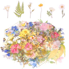 160PCS Flower Stickers for Scrapbooking, 4 Styles Cute Vintage Transparent Pressed Flower Stickers, PET Self-Adhesive Colored for Scrapbooking, Journaling, Card Making, Crafts, Laptop