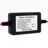 12V,24V,36V,48V Battery Desulfator, Automatic Plus Repair Reconditioner Extend Battery Life