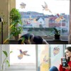 Stained Glass Window Film & Bird Anti Collision Decals -