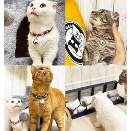 Heroes Cat Dress Up Collar, Stylish Collar with Bell and Labor Name Plate Adjustable Length Up to 8.7 inches (22 cm), Jewelry Style, Hard Case Included, Bell Included, Cat Collar (Romance Beige,