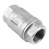 DERPIPE 3/4 Inch Vertical Check Valve SUS304 Spring Loaded Check