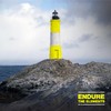 DayGlo Endure EFL Hi-Vis Series Fluorescent Alkyd Brushing Paint -