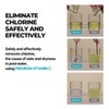 Chlorine Removing Shampoo for Swimmers | Vitamin C | Clarifying