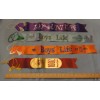 Four Different Boy's Life BSA 100% Ribbons - New Condition