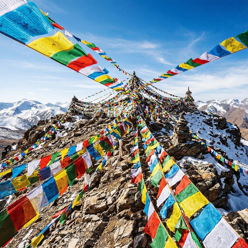 Tegeme 40 Pcs Tibetan Prayer Flags 5 Colors 100% Cotton