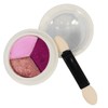 Solid Nail Powder Metallic Effect 3 Colors #03 Pink
