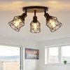 WILON Kitchen Light Fixtures Ceiling Mount, Black Ceiling Light Fixtures