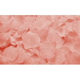 ocharzy 1000pcs Separated Champagne Like Pink, Rose Petals for Romantic Night,Wedding,Proposal Anniversary Flower Decorations