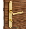 Long Plate Door Fitting Brass Door Handle - Old Vienna