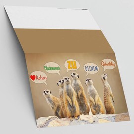 A4 XXL Birthday Card MEERKAT With Envelope - Elegant Folded Card With Funny Meerkat - Greeting Card For A Birthday From BREITENWERK