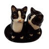 Ceramic Salt and Pepper Shaker Set with Cat Motif (Black