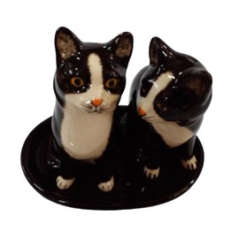 Ceramic Salt and Pepper Shaker Set with Cat Motif (Black and White)
