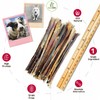 Nature Gnaws Pork Bully Sticks for Dogs - Premium Natural