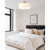 Audickic Gold Semi Flush Mount Ceiling Lights, 4-Light 18" Ceiling