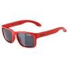ALPINA MITZO Distortion-Free and Shatterproof Sunglasses with 100% UV Protection