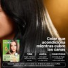 Herbishh - Champú colorante para cabello gris, champú con tinte
