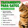 Suplemento Natural Preventivo De Infecciones Urinarias Gato