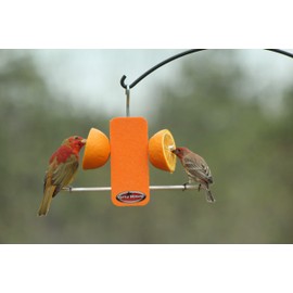 Kettle Moraine Recycled Single Oriole Orange Fruit Stick Feeder