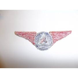 E0710 WW 2 Civil Air Patrol  CAP C.A.P Horse Patrol Wing R22C