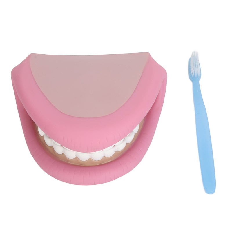 Kids Mouth Hand Puppet 28 Teeth Tongue Mouth Puppet with