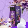 Shampoo Y Acondicionar Skala Kit Mais Lisos Cabello Lacio