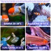 Bordeag Pack of 2 Aquarium Thermometers, Mini Digital Aquarium Thermometer,