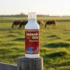 Hemomic Forte 1l Nutrición Equinos Animal Vitamina Mineral