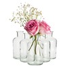 Farmlyn Creek Narrow Jar Vases - 2.8 in x 5