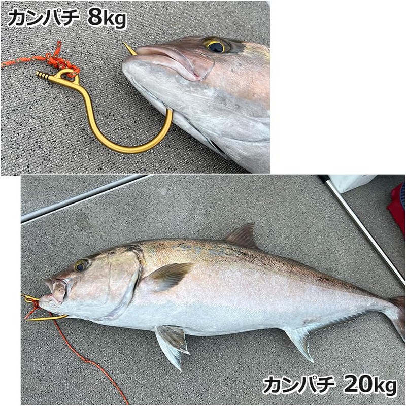Titanium Large Fish Flying Gaffs for Shore Offshore Tuna, Marlin,