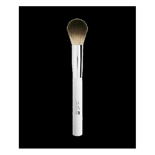 Bionike Defence Color Brush for Compact Blusher 1item