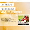 MY SCALP PROTEIN Scalp Lotion, MyScarp Protein, Protein on Scalp,