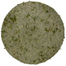 SuperMoss (26315) Moss Soil Toppers (Place Mats), Fresh Green, 12" (3 units)