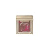 Lunasol EX01 Merging Color Eyes Eyeshadow, Brownie Cake, 0.06 oz
