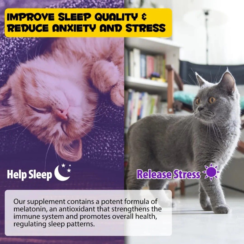 Suplemento Gato Con Melatonina Valeriana Para Sueño Y Estrés