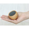 Gingko Design Tumbler Selfie Bluetooth Speaker natural maple wood