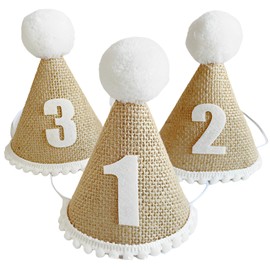 fogman 1st Birthday Party Hat, Birthday Hat, Photo Shooting, Celebration, Gift, Set of 3