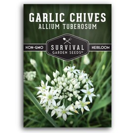 1 Pack Garlic Chives Seed for Planting - Packet with Instructions to Grow Delicious Perennial Herbs in Your Home Vegetable Garden - Non-GMO Heirloom Variety - Survival Garden Seeds