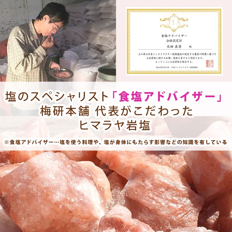 Umeken Honpo Rock Salt Plate, Himalayan Salt Plate, 7.9 x