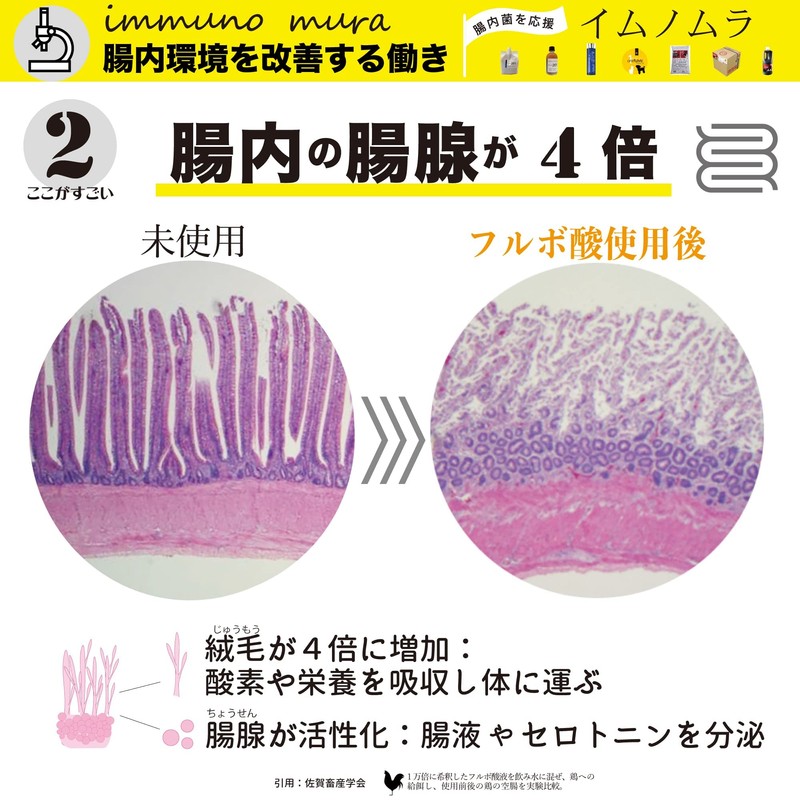 300ml パウチ 「フルフミン201」フルボ酸原液100％飲料 〜天然 由来の マルチミネラル とフルボ酸を高濃度抽出〜