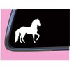 Paso Fino Horse plain TP 595 6" Decal Sticker saddle