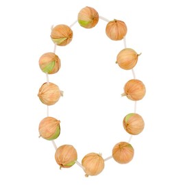 French Outfit Accessory Fancy Dress Set - Red Wool Beret + Onion Garland - France Kit Bastille Day